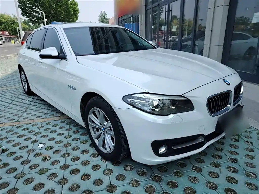 BMW 5 Series 2014 520Li Elegance фото 22