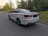 Фото 8 - Geely Binrui