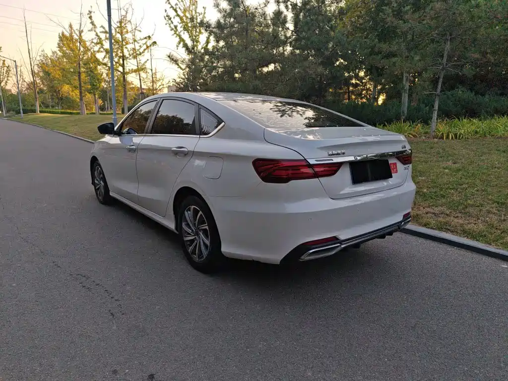 Фото 8 - Geely Binrui