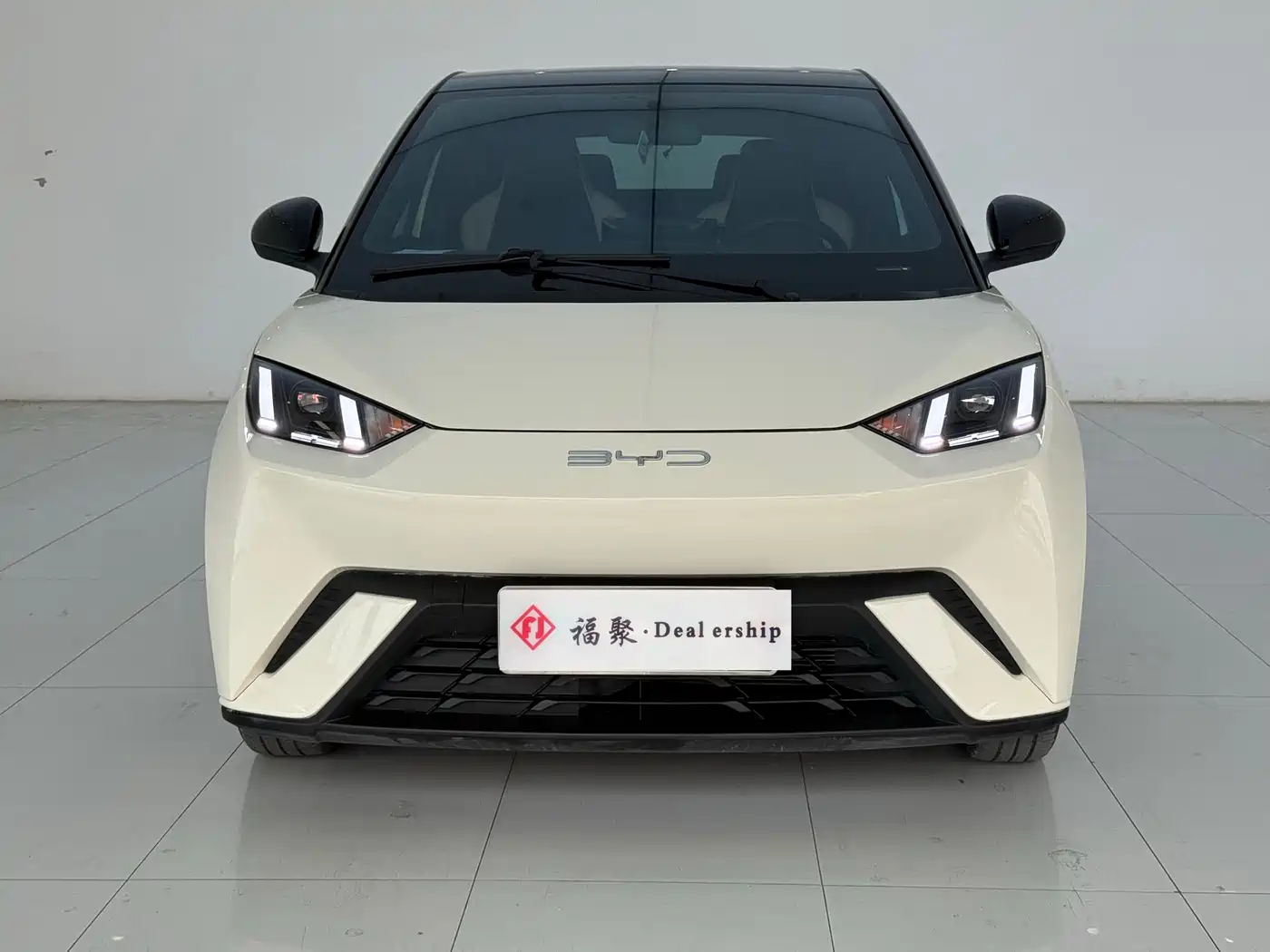BYD Seagull 2023 Vitality Edition