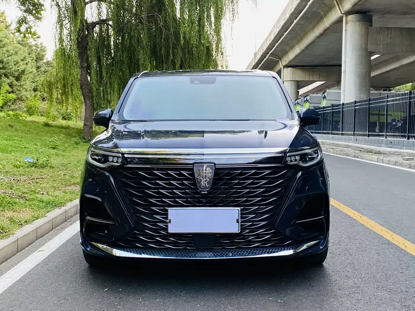 Roewe iMAX8 2021 2022 400TGI Honor Edition