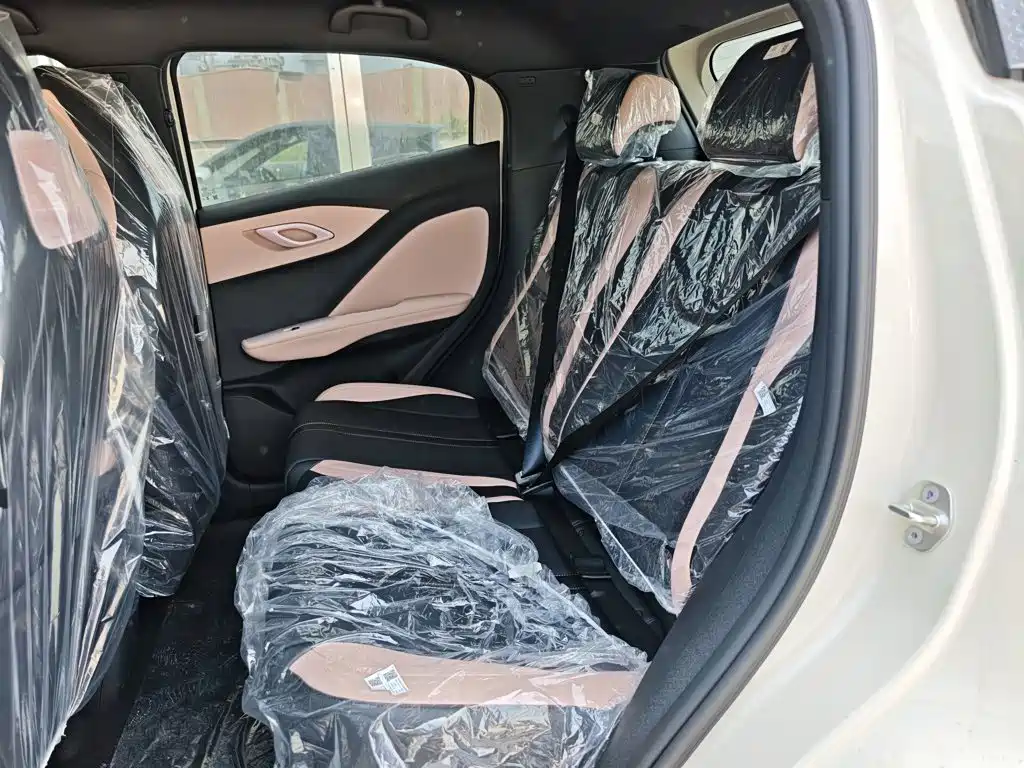 BYD Seagull 2026 2025 Smart Drive Edition 305km Freedom Version