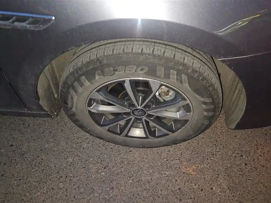 BYD Qin PLUS 2024 Glory Edition DM-i 55KM Leading фото 6