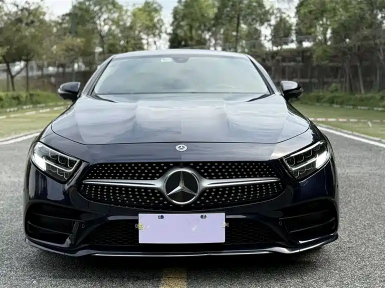 Mercedes-Benz CLS 2021 CLS 300 Sport фото 3