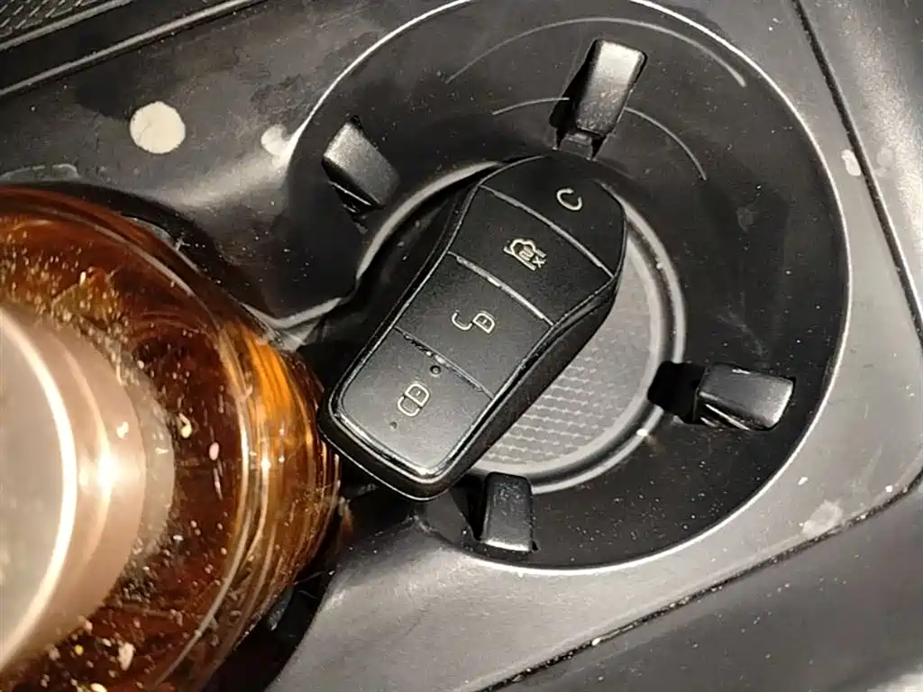 BYD Qin PLUS 2021 DM-i 120KM Flagship фото 9