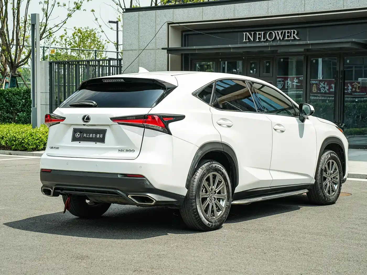 Lexus NX 2018 Model 300 FWD Fengxing Edition фото 4