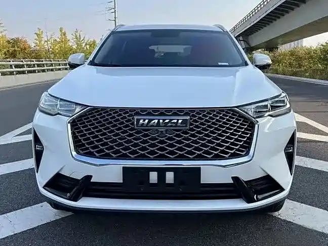 Haval H6 2022 3rd Gen 1.5T Auto 2WD Pro фото 2