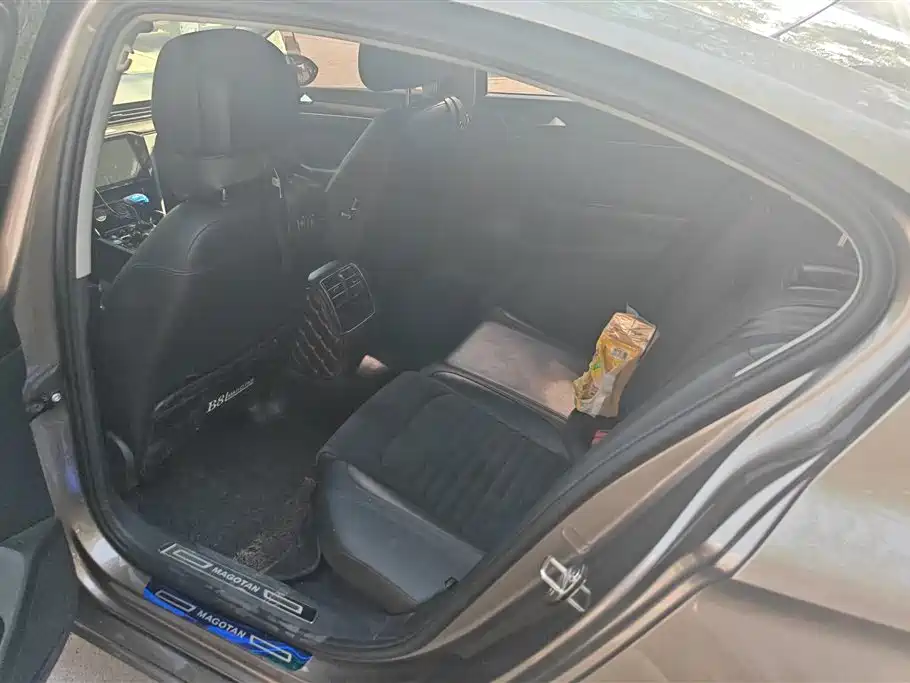 Volkswagen Magotan 2018 380TSI DSG Luxury фото 11