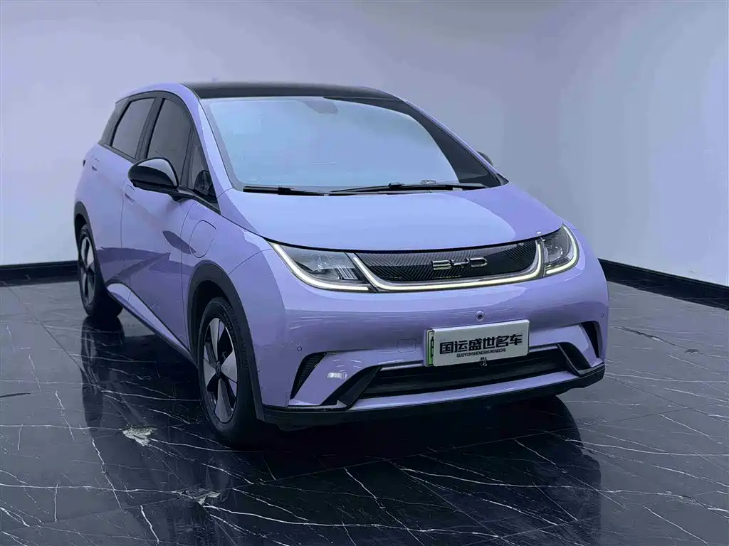 BYD Dolphin 2023 420km Fashion Edition фото 3