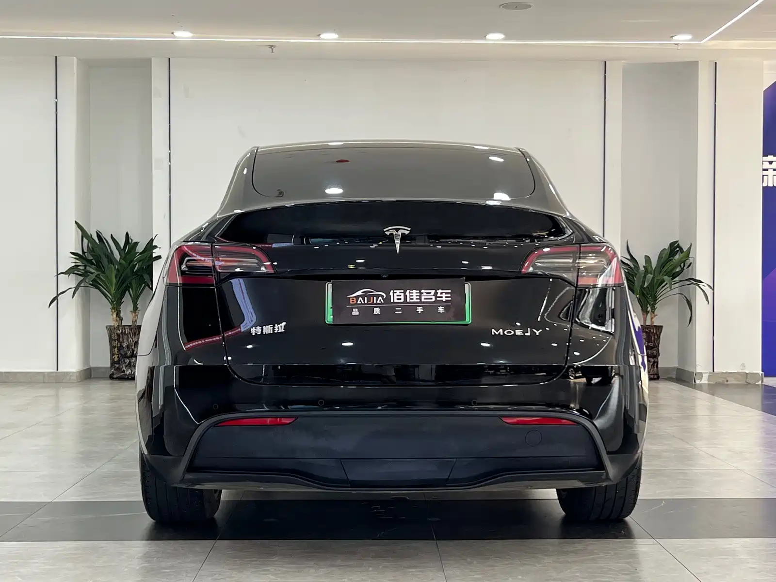 Фото 5 - Tesla Model Y