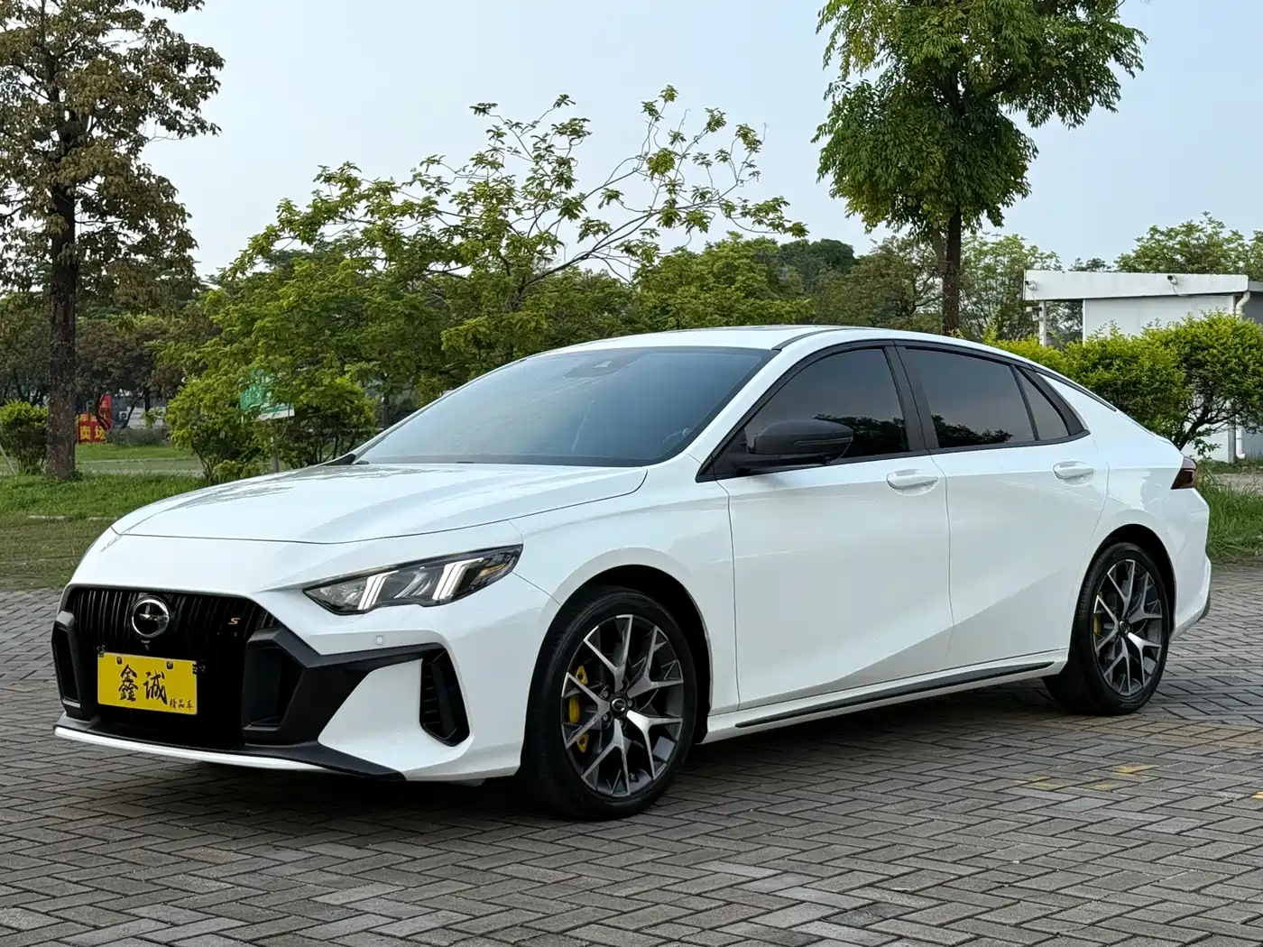 GAC SHADOW LEOPARD