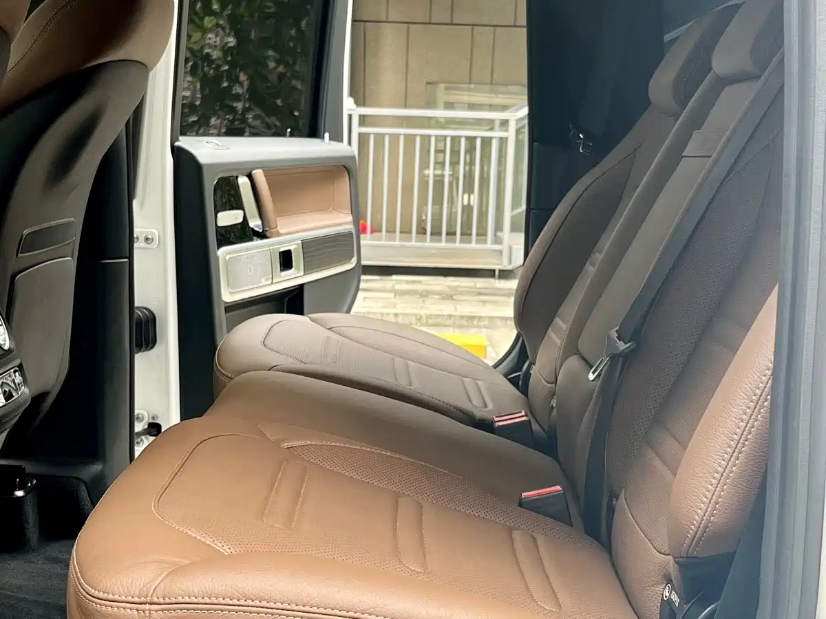 Mercedes-Benz G-Class 2020 G 350 фото 14