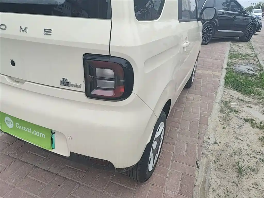 Geely Galaxy Panda 2025 Panda mini 210km Vitality Bear фото 8