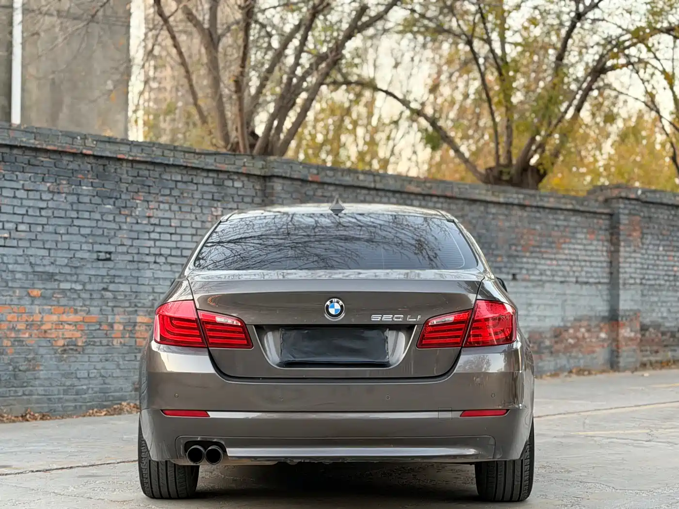 BMW 5 Series 2013 520Li Elegance фото 9