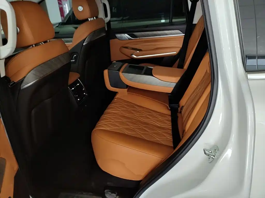 Tank 500 2022 2022 3.0T Business Edition Zaojing 5-Seater