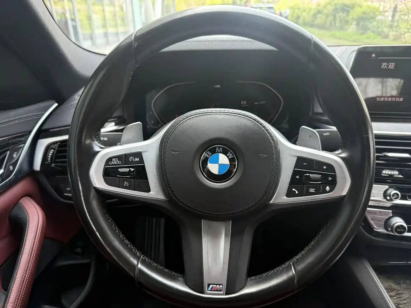 BMW 5 Series 2020 530Li Leading M Sport Package фото 10