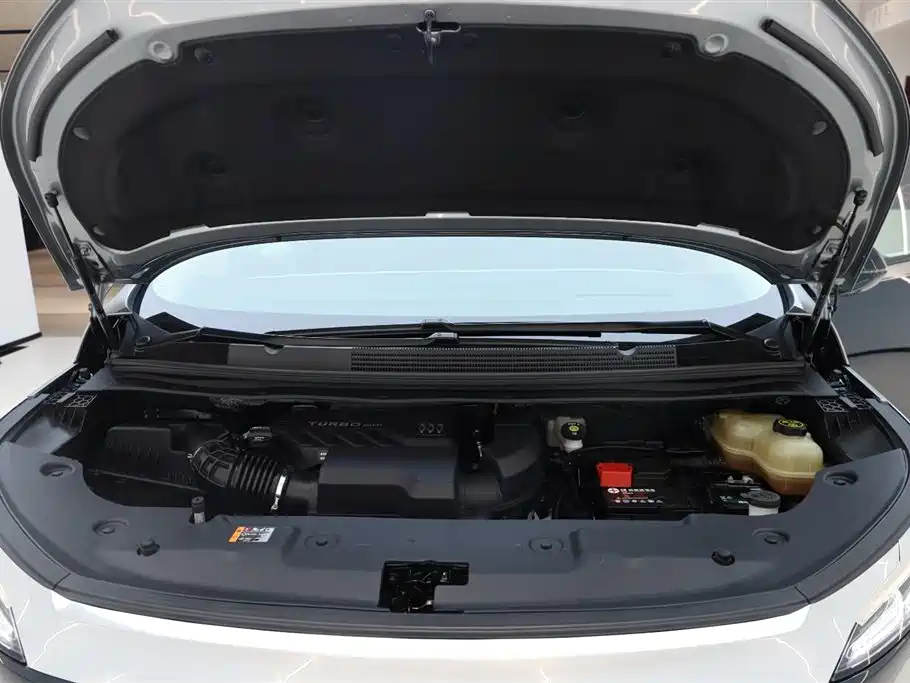 Buick Century 2023 2.0T 4-Seat Leisure Edition фото 20