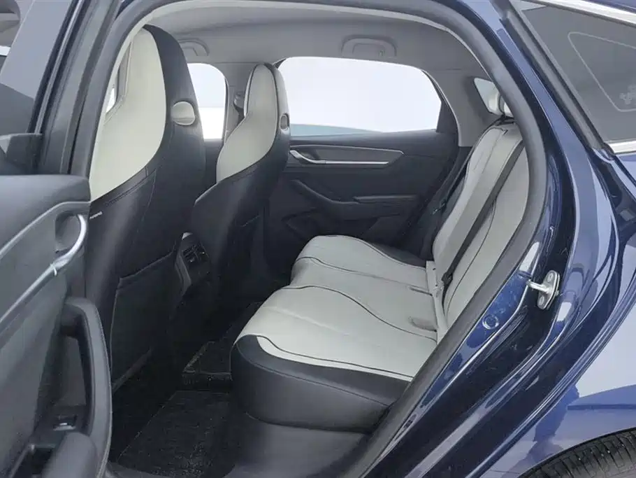 BYD Destroyer 05 2024 Glory Edition DM-i 55KM Luxury фото 11