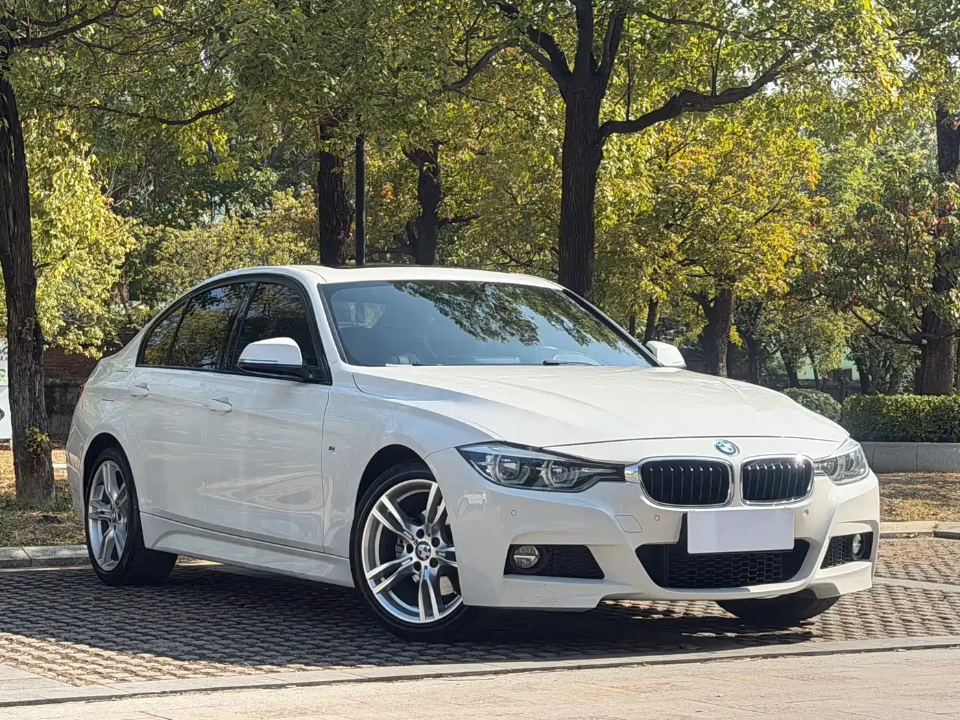 BMW 3 Series 2017 320i M Sport фото 3