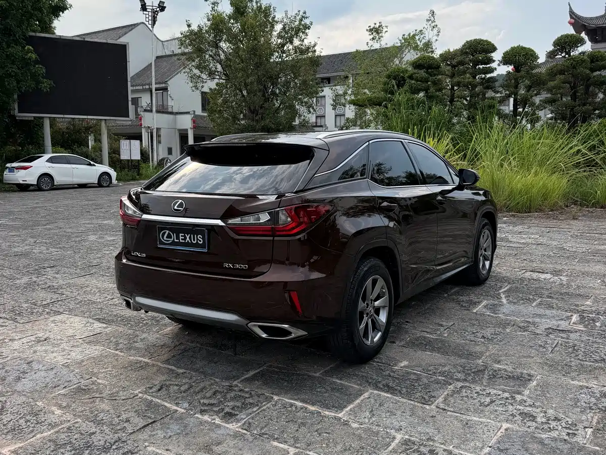 Фото 7 - Lexus RX