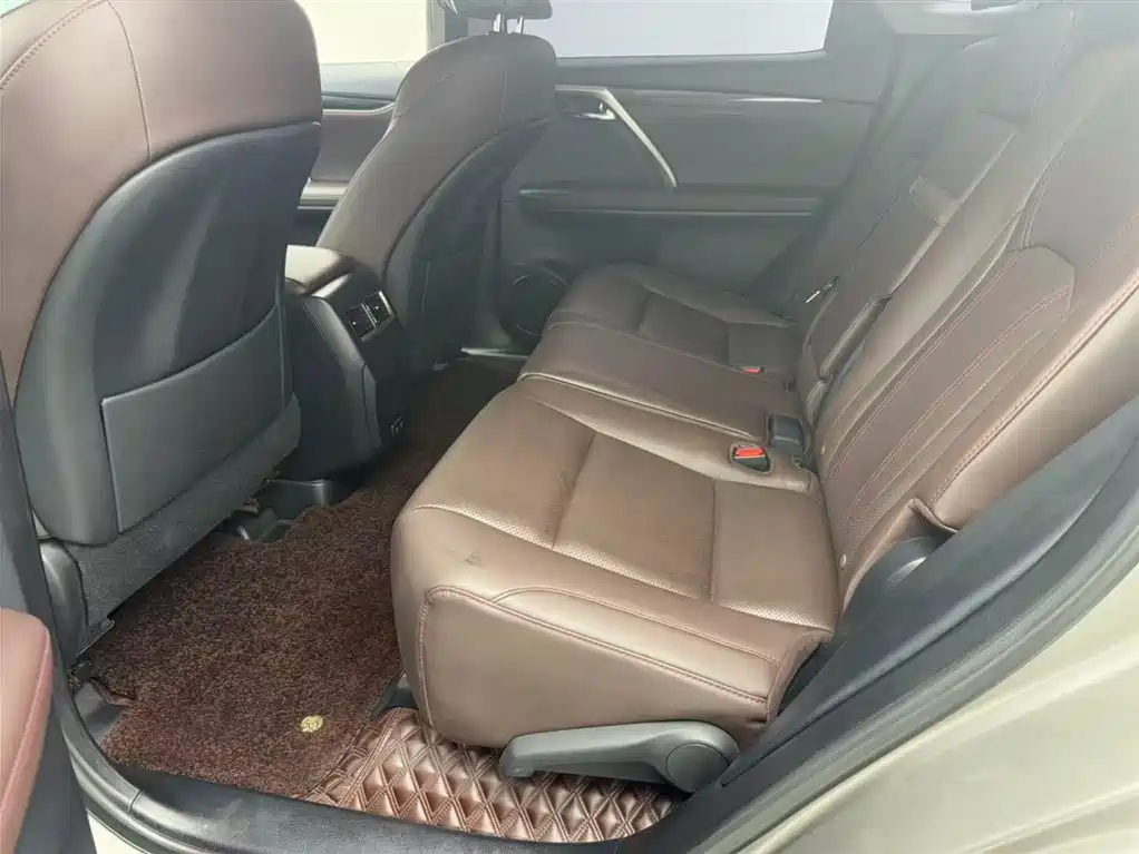 Lexus RX 2020 300 AWD Elegance Edition China V фото 10