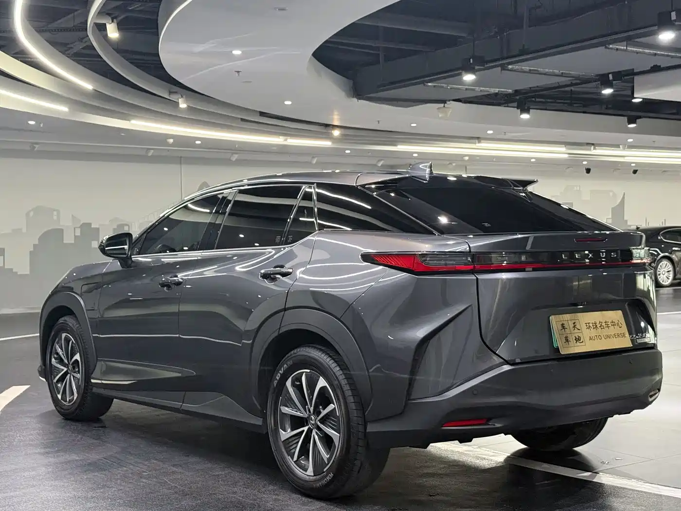 Lexus RZ 2023 450e 4WD Deluxe фото 6