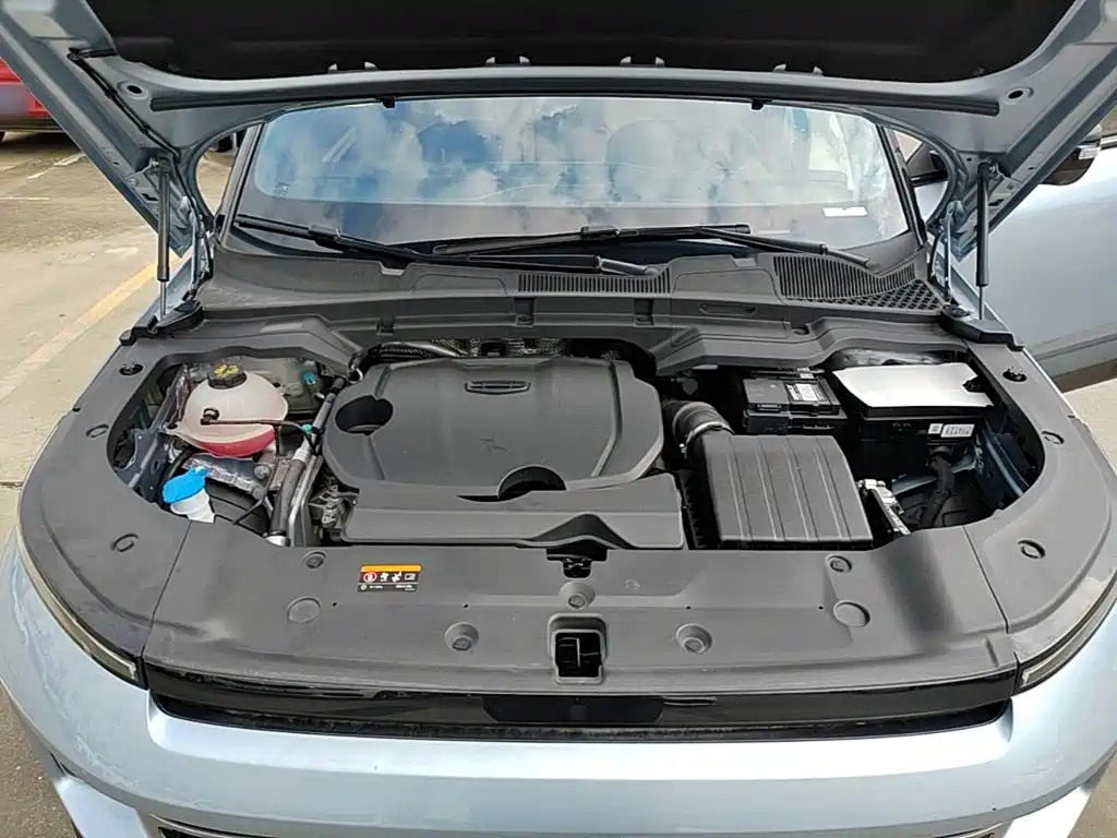 Geely ICON 2024 2023 1.5TD Protagonist