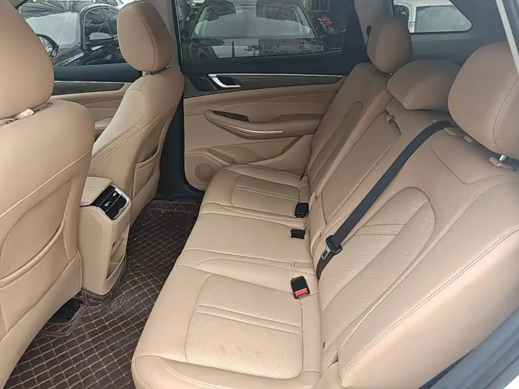 Landian E5 2024 2024 Glory Edition 100KM Premium Type 7-Seater