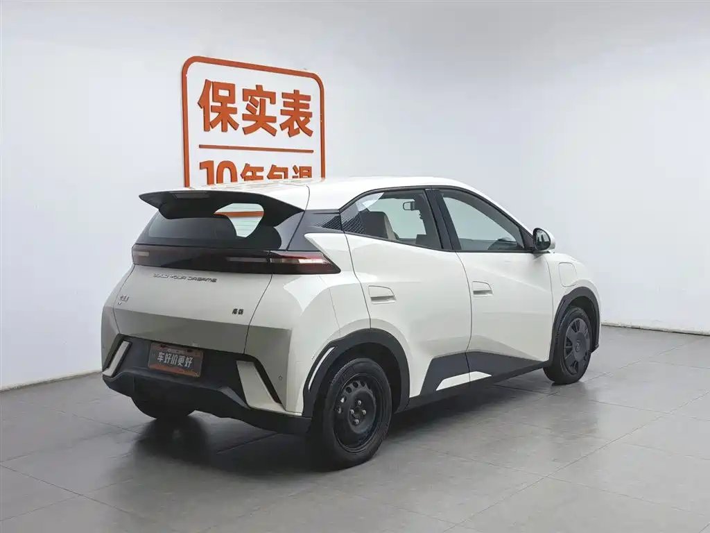 BYD Seagull 2023 Vitality Edition фото 2