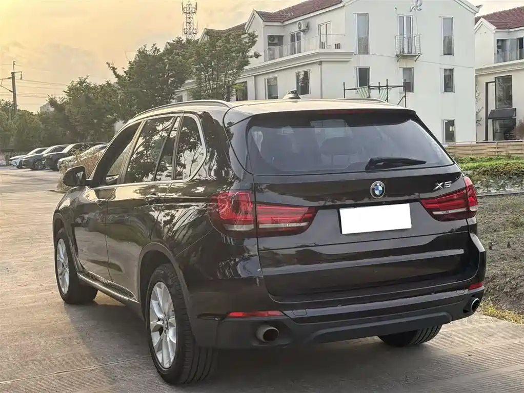BMW X5 (Import) 2014 xDrive35i Elegance фото 14