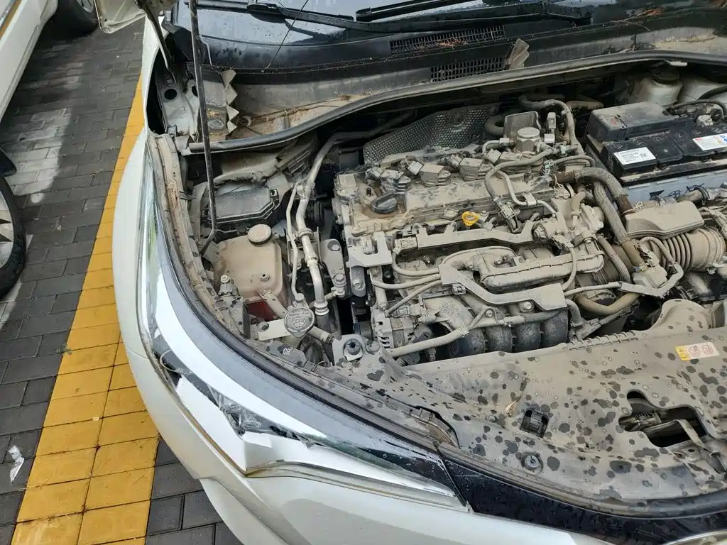 Toyota C-HR 2019 2018 2.0L Leading Sunroof Edition China VI