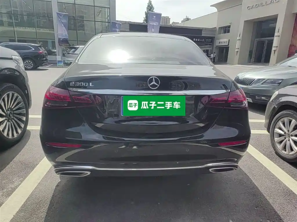 Mercedes-Benz E-Class 2023 E 300 L Luxury фото 10