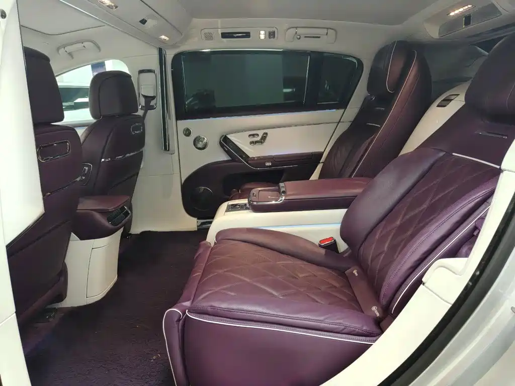 Zunjie S800 2025 2025 Model Extended Range Starlight Executive Edition 4-seater