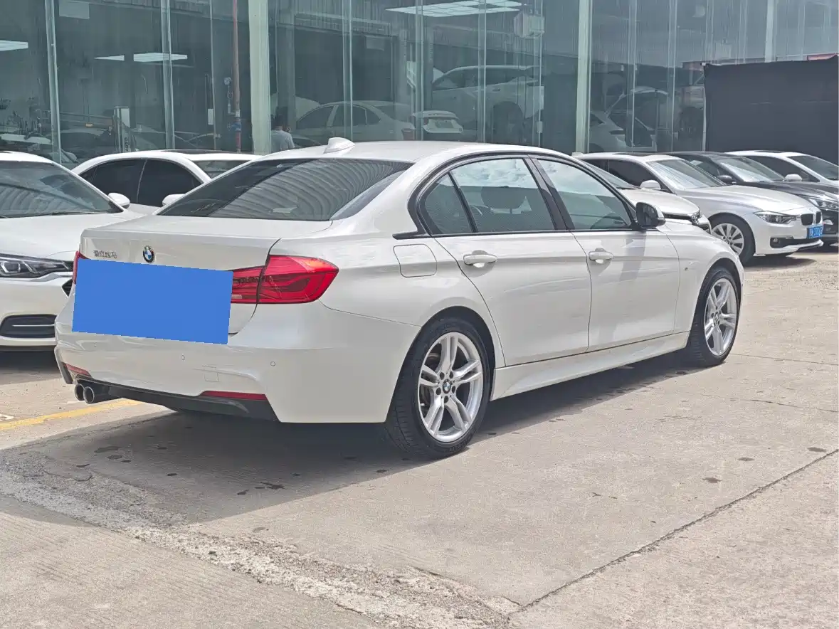 BMW 3 Series 2019 320Li M Sport Package фото 9