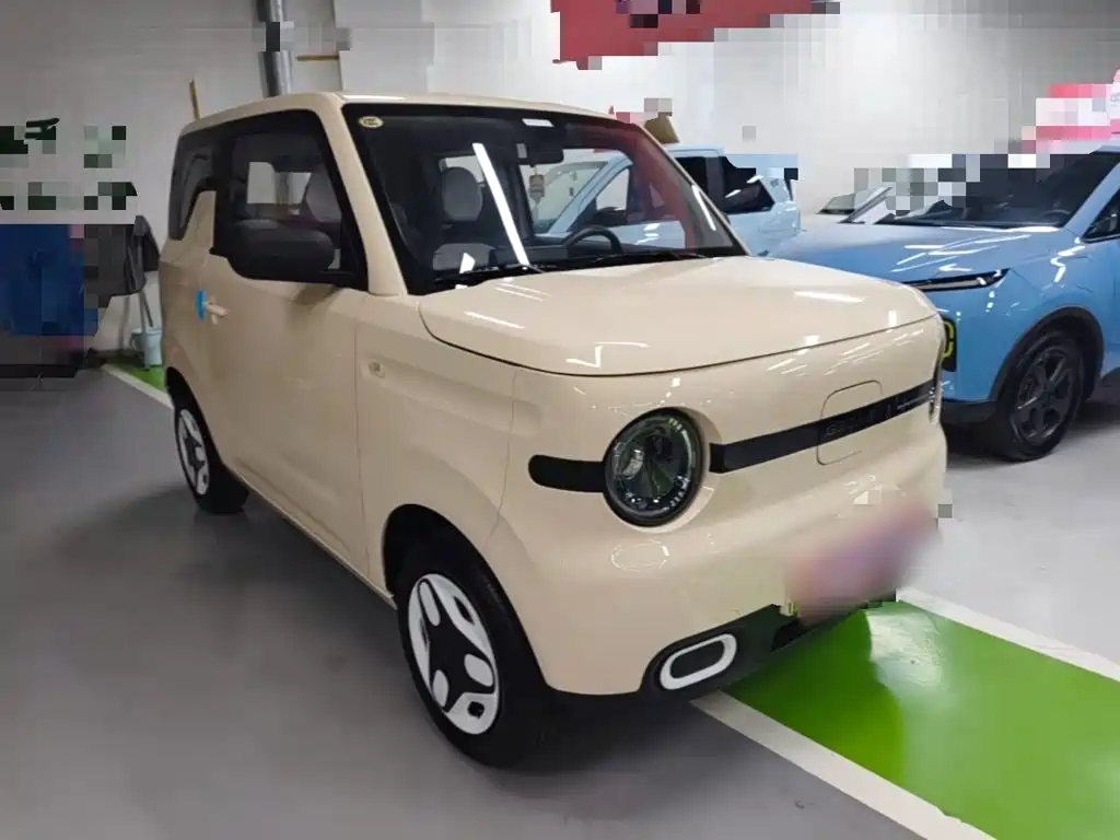 Geely Galaxy Panda 2025 2025 Panda mini 210km Vitality Bear