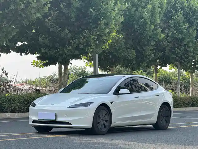 Tesla Model 3 2025 Model Year Facelift Rear-Wheel Drive
