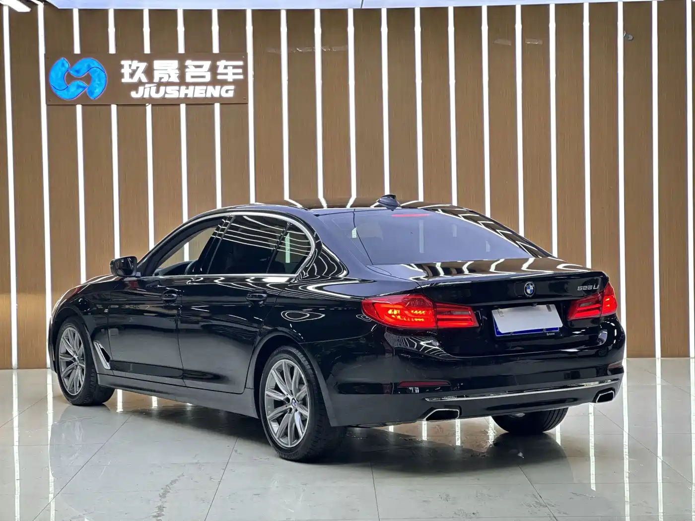 BMW 5 Series 2018 528Li Launch Special Edition фото 4