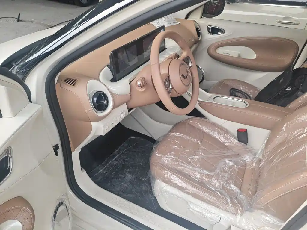 Wuling Motors Wuling Bingo 2026 2025 Model 333km Joy Edition