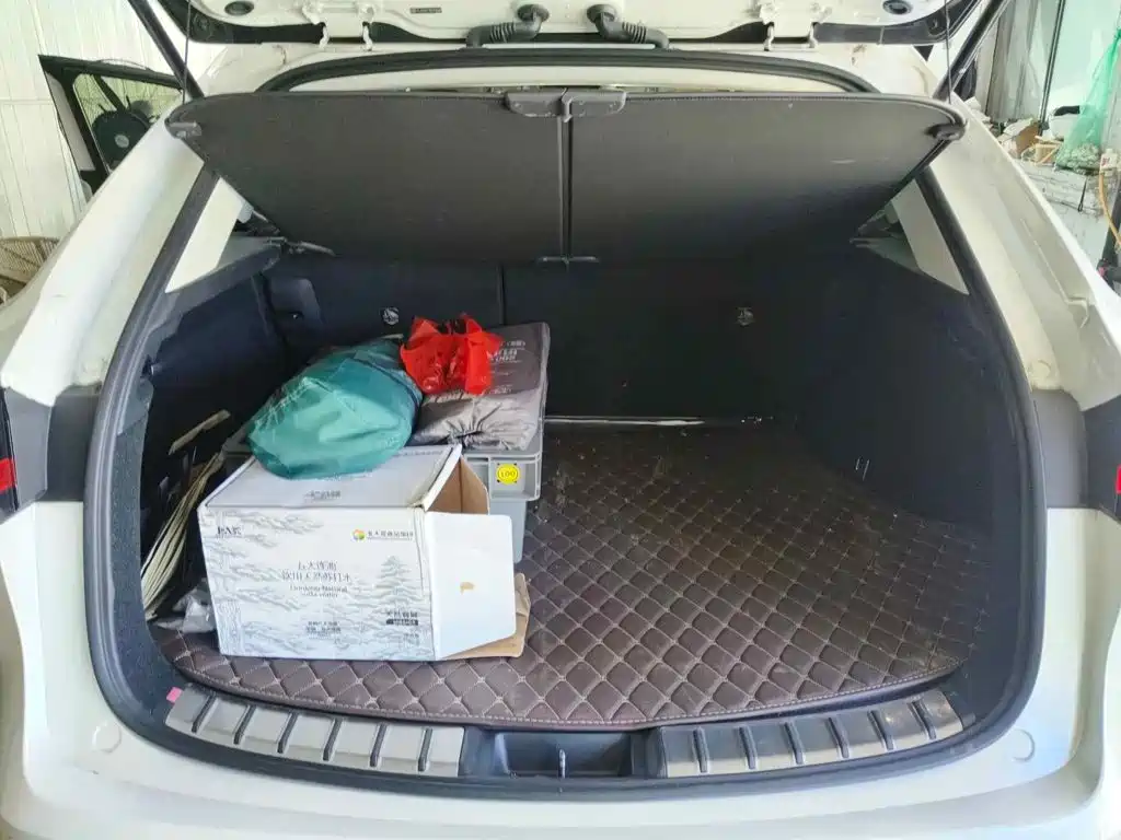 Lexus NX 2023 2022 260 FWD Innovation Edition