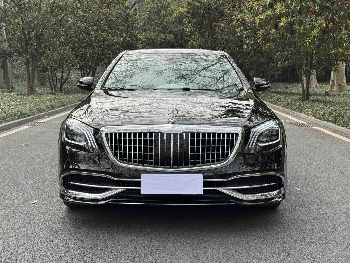 Mercedes-Benz S-Class 2014 S 320 L Business фото 2