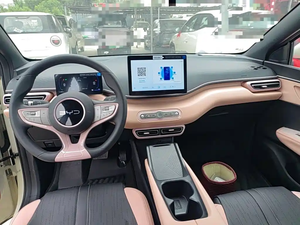 BYD Seagull 2026 2025 Smart Drive Edition 305km Vitality Version