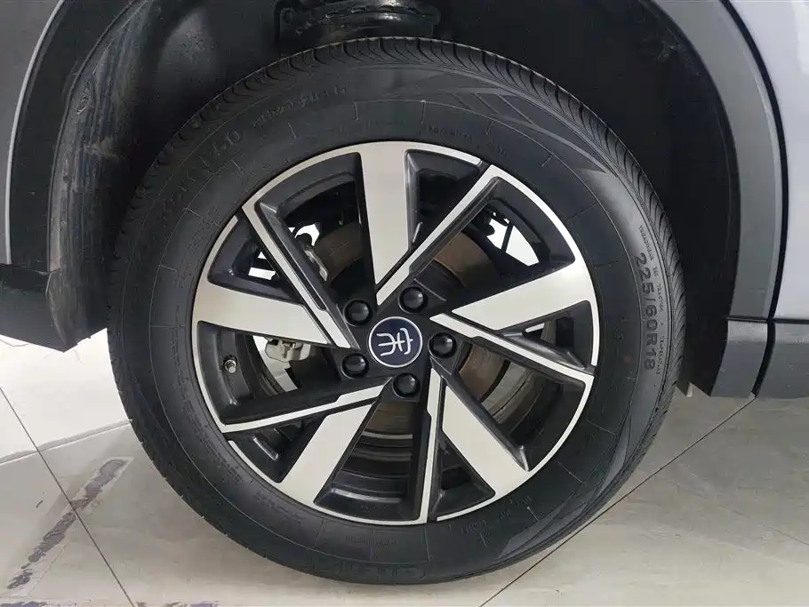 BYD Song Pro New Energy 2024 Glory Edition DM-i 71KM Pilot фото 6