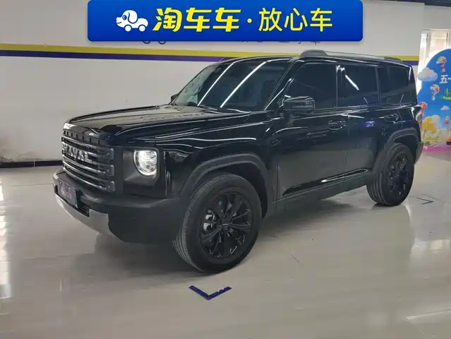 Haval Meng Long NEV 2025