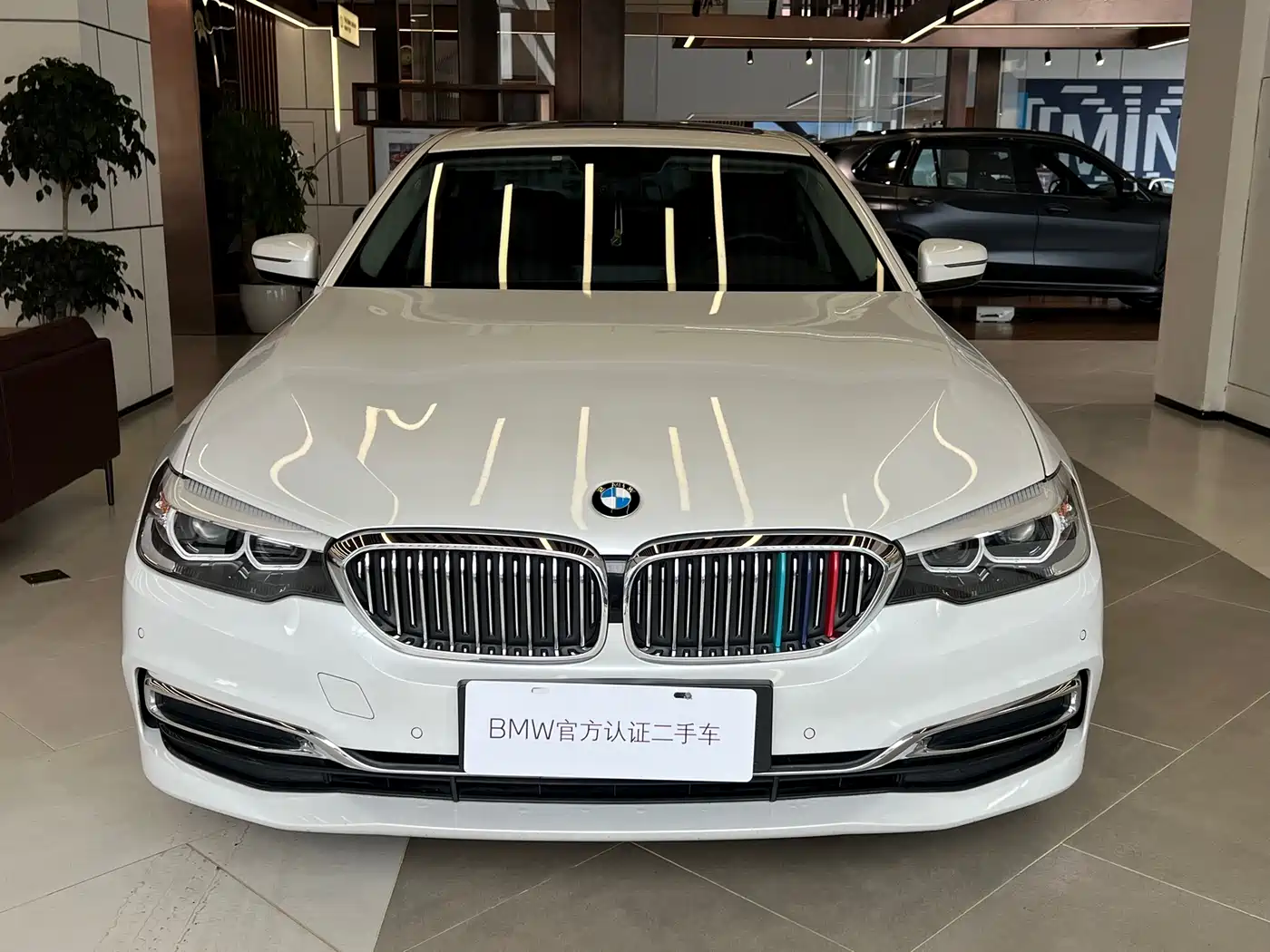 BMW 5 Series 2019 530Li Leading Luxury Package фото 2