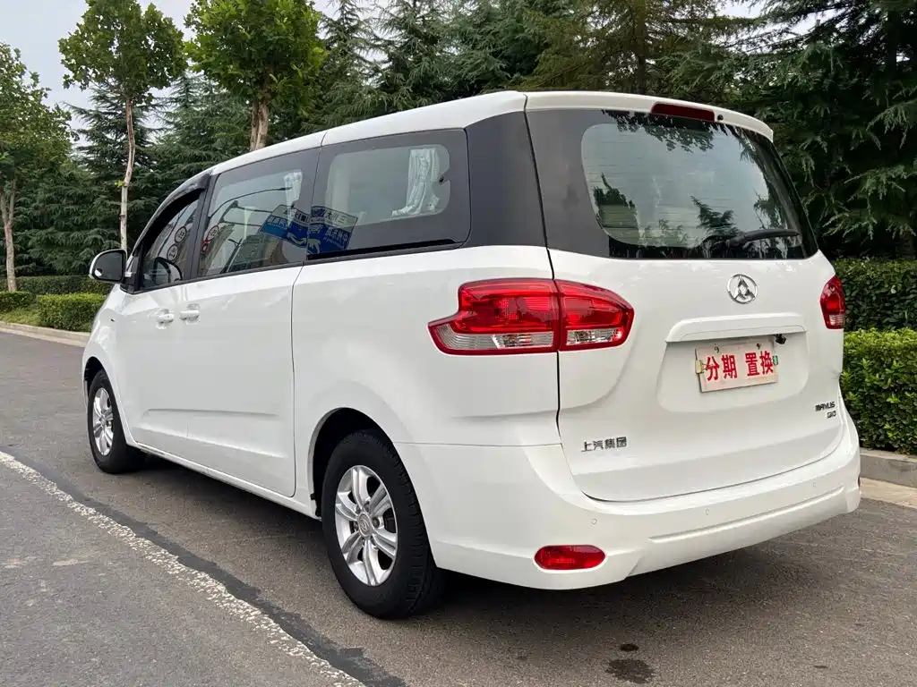 Фото 13 - SAIC Maxus Maxus G10
