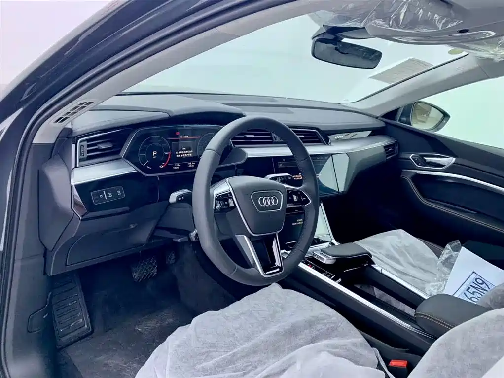 Audi e-tron 2021 50 quattro Luxury фото 15