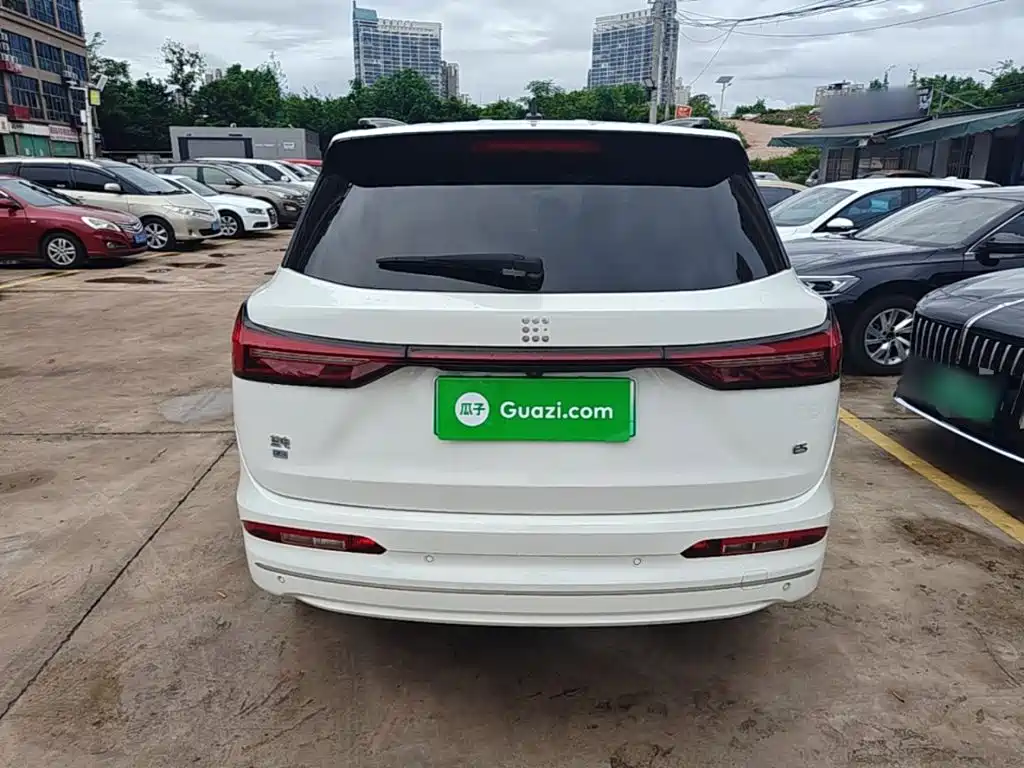 Landian E5 2024 2024 Glory Edition 100KM Premium Type 7-Seater