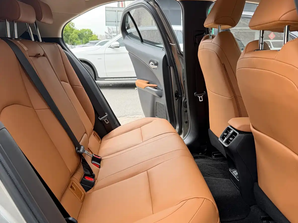 Lexus UX Electric 2020 300e Pure Yue Edition фото 5
