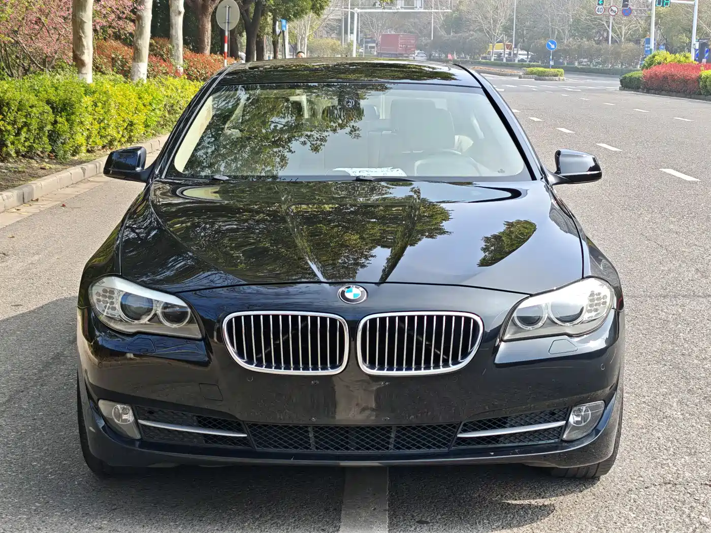 BMW 5 Series 2012 523Li Luxury фото 4