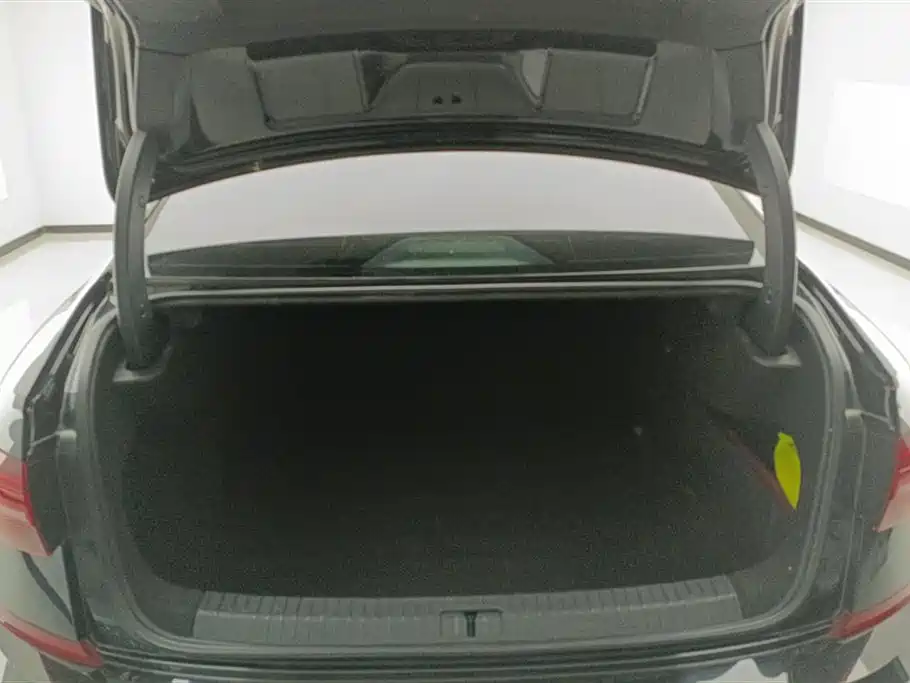Volkswagen Passat 2019 330TSI Luxury Edition China VI фото 4